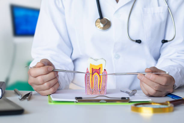 Best Dentist Open on Weekends  in Jnstown, OH